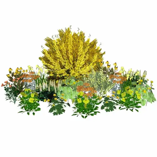 Die wiederkehrende gelbe Pracht